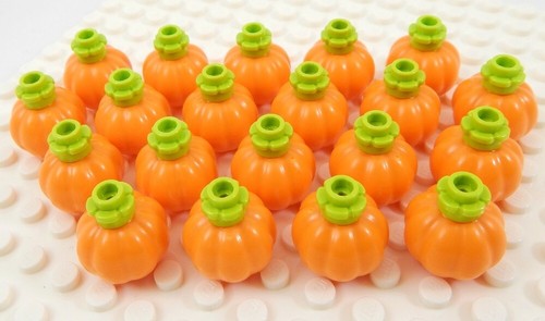 Lotto nuove zucche - lotto,